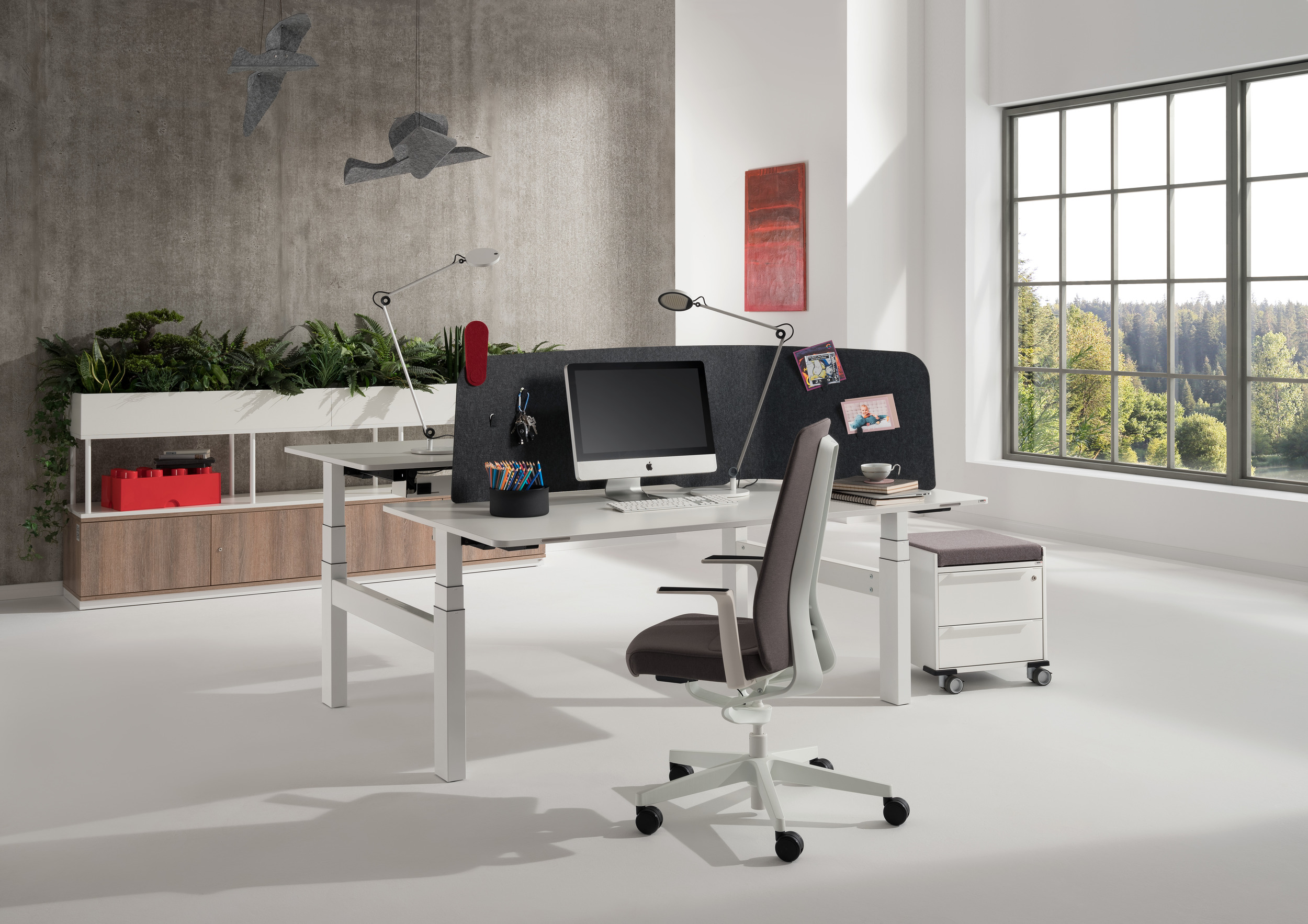 Mobilier ergonomique - Allemand Frères